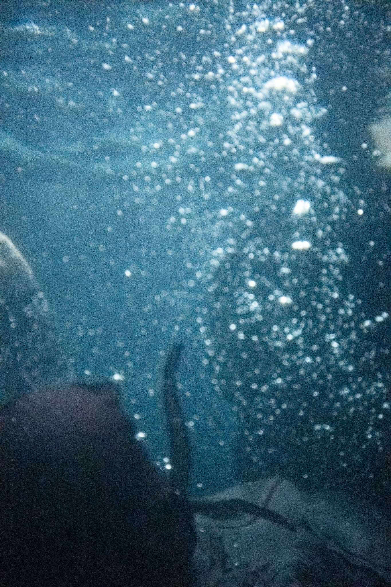 20260622 の写真 1