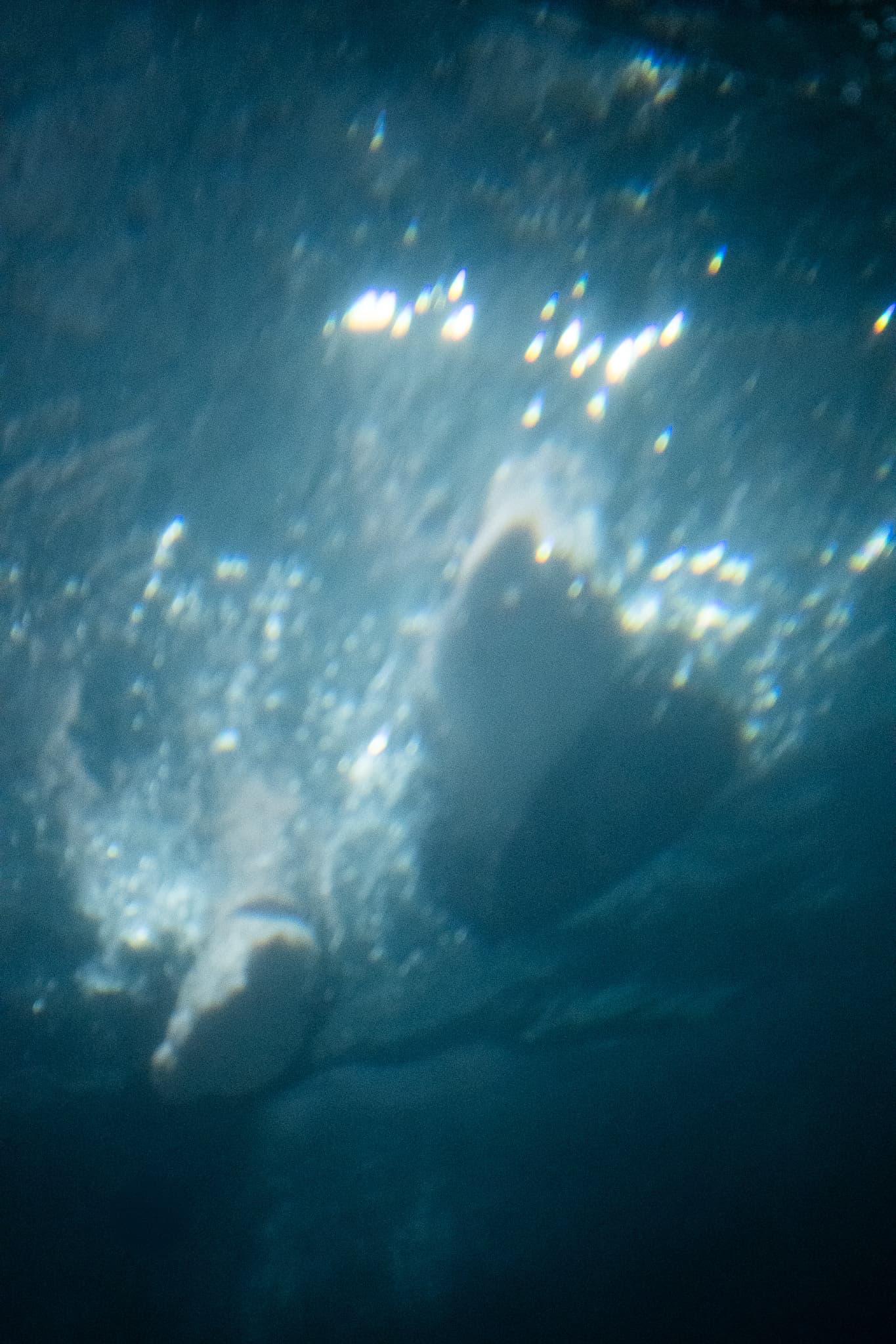 20260622 の写真 5